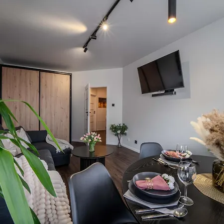New Large Modern Apartment - City Center - 60M2 - Lift - Parking Breslavia Esterno foto