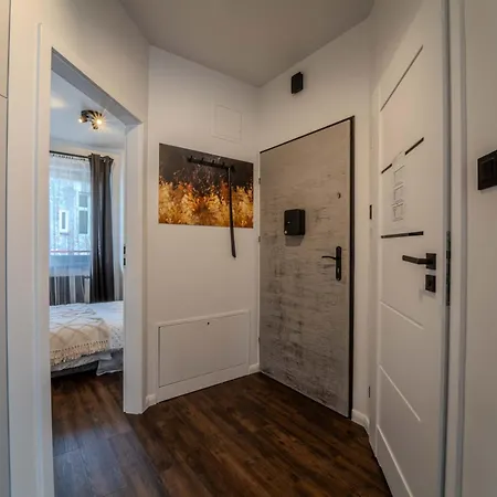 New Large Modern Apartment - City Center - 60M2 - Lift - Parking Breslavia Esterno foto
