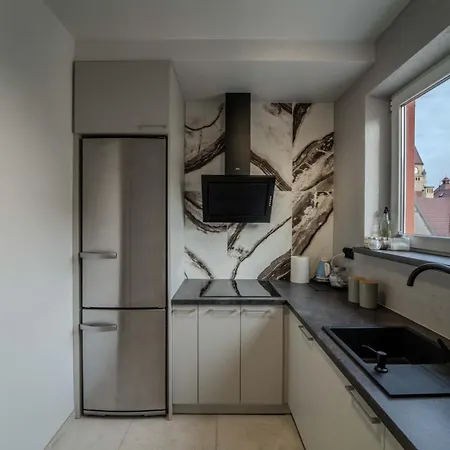 New Large Modern Apartment - City Center - 60M2 - Lift - Parking Breslavia Esterno foto